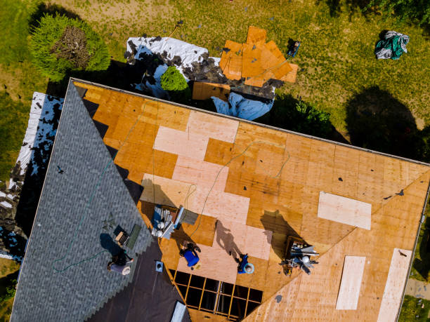 Best Metal Roofing Contractor  in Lovell, WY